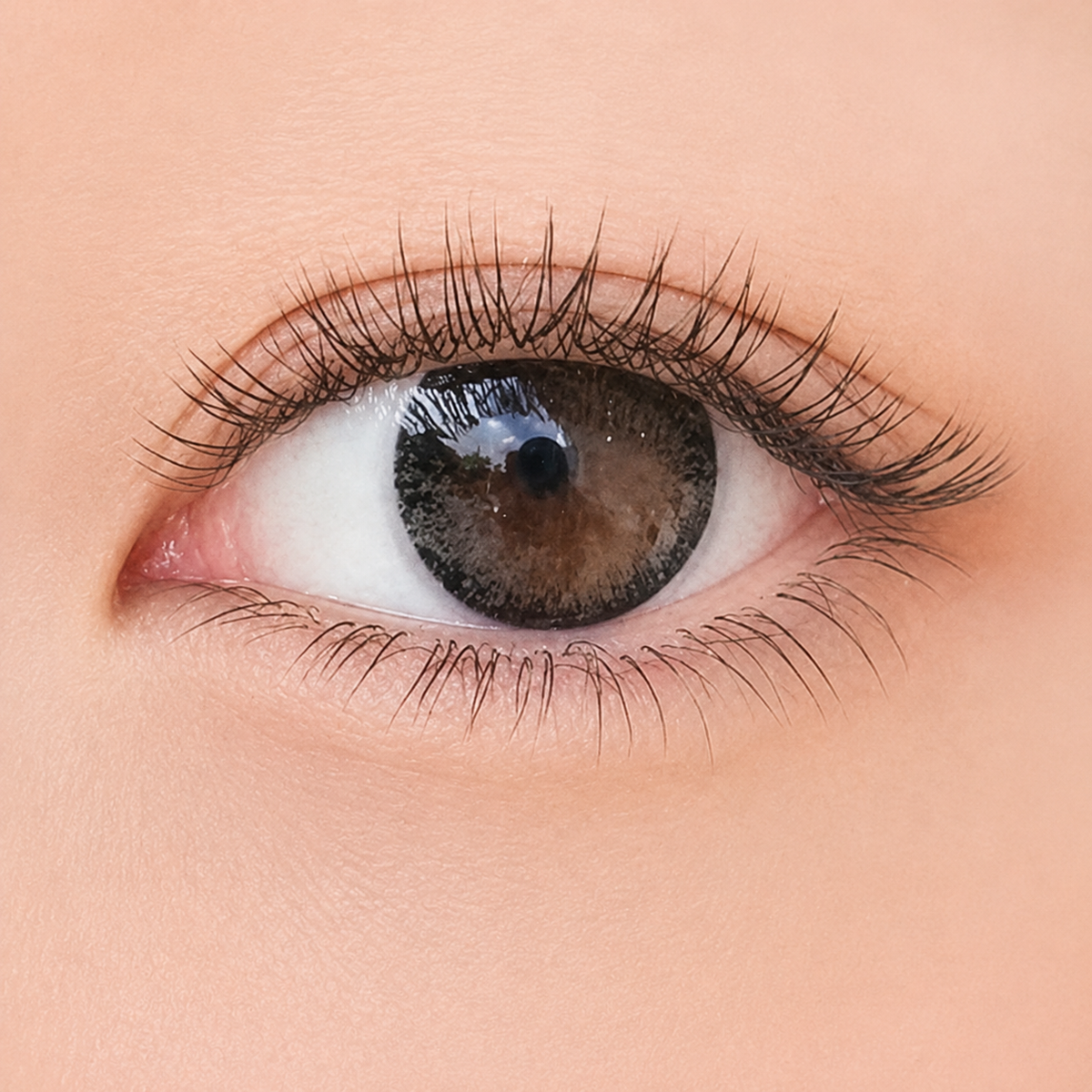 ICONIQ beauty™ Magnetic Lash Kit