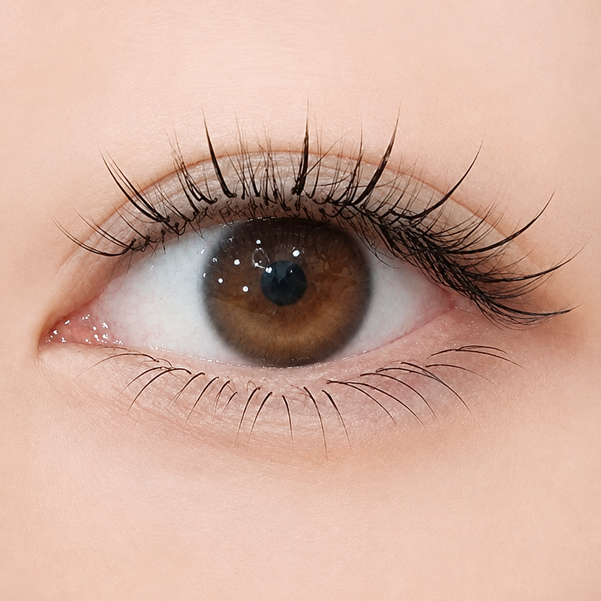 ICONIQ beauty™ Magnetic Lash Kit