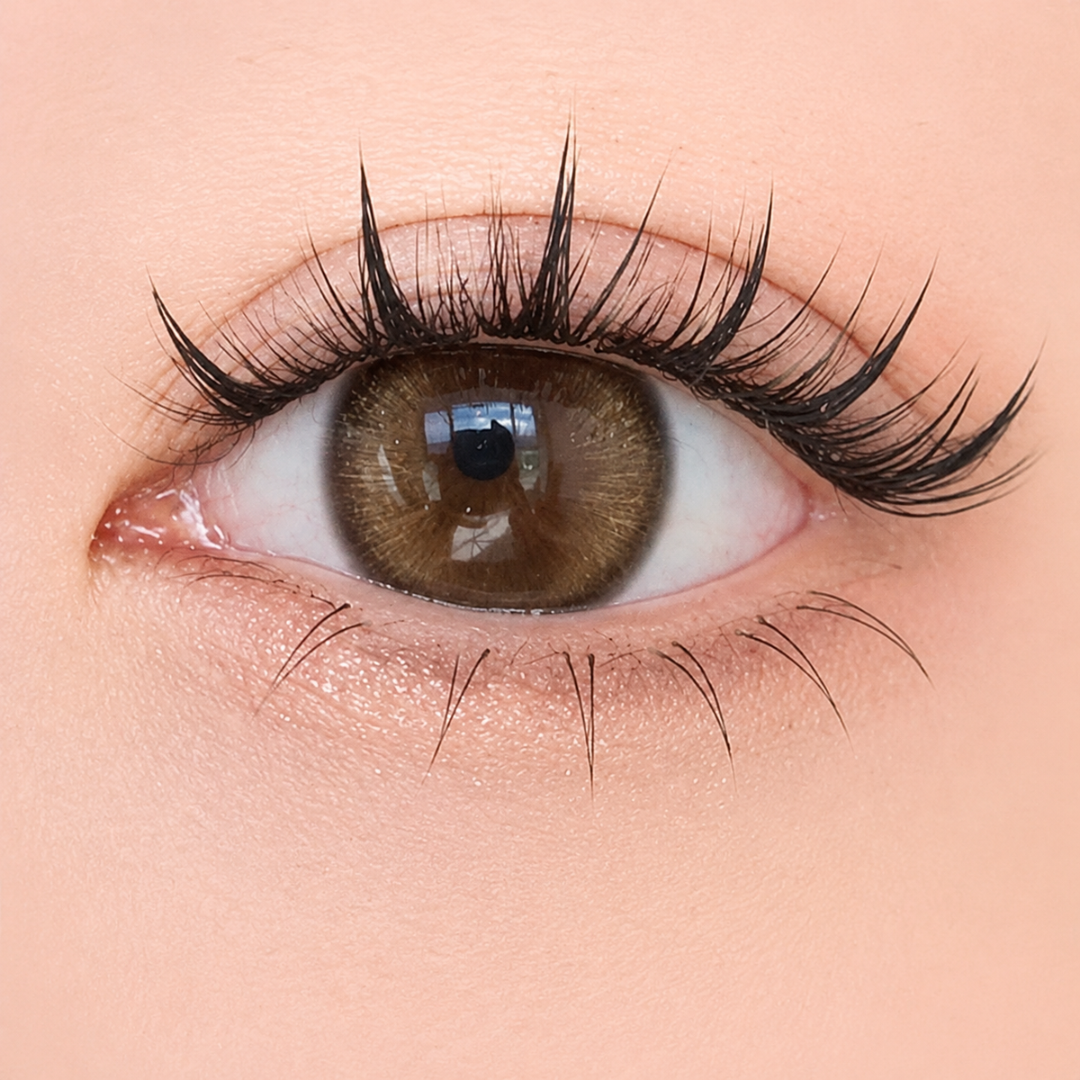 ICONIQ beauty™ Magnetic Lash Kit