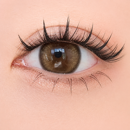ICONIQ beauty™ Magnetic Lash Kit